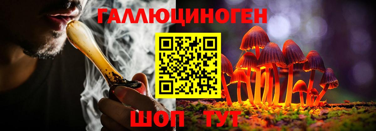 Псилоцибиновые грибы GOLDEN TEACHER  Галлюциногенные грибы Magic Shrooms  Вход с VPN  Новозыбков 